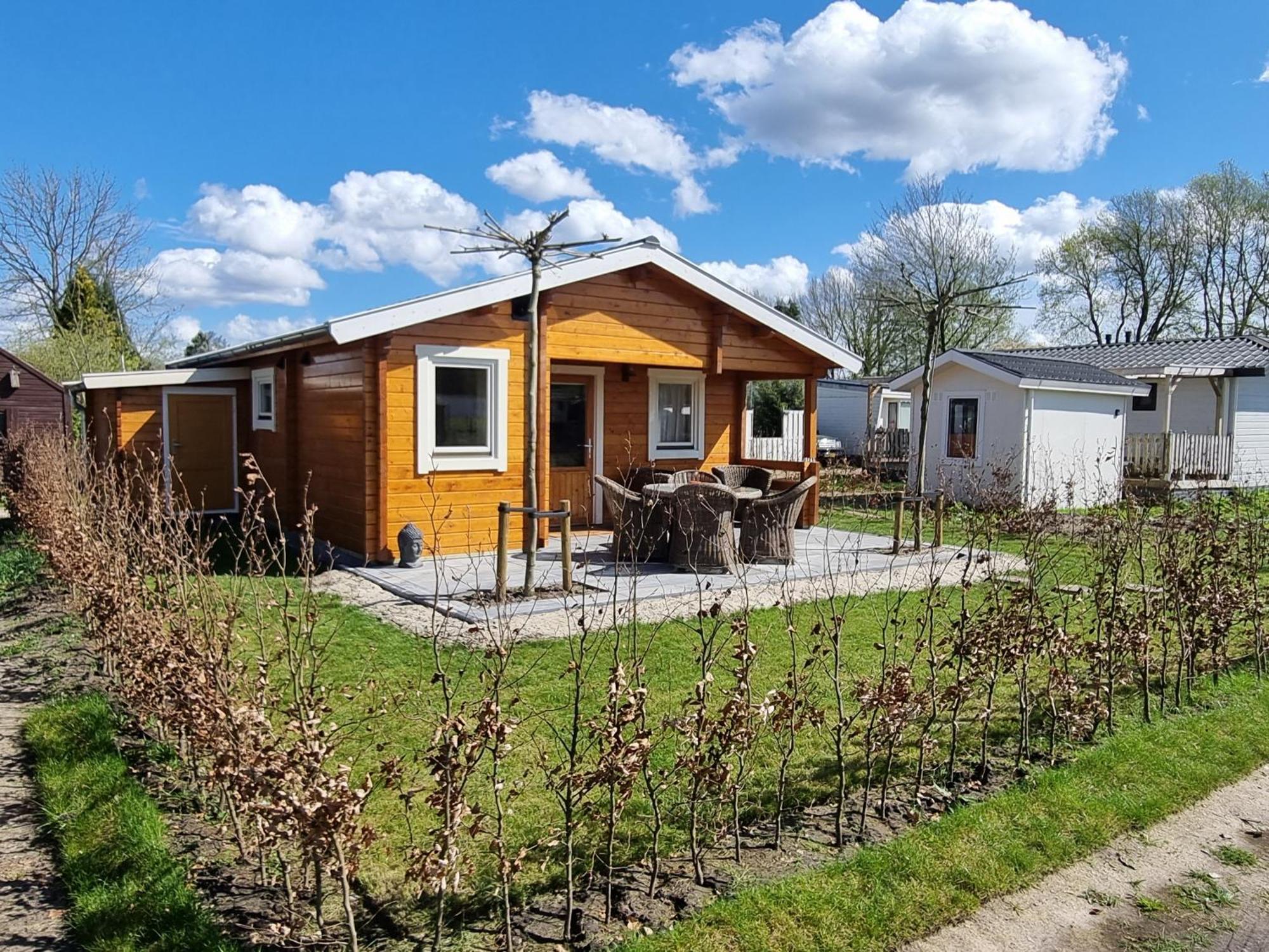 Nieuw - Luxe Blokhut Chalet In Bosrijke Omgeving Anloo Eksteriør billede