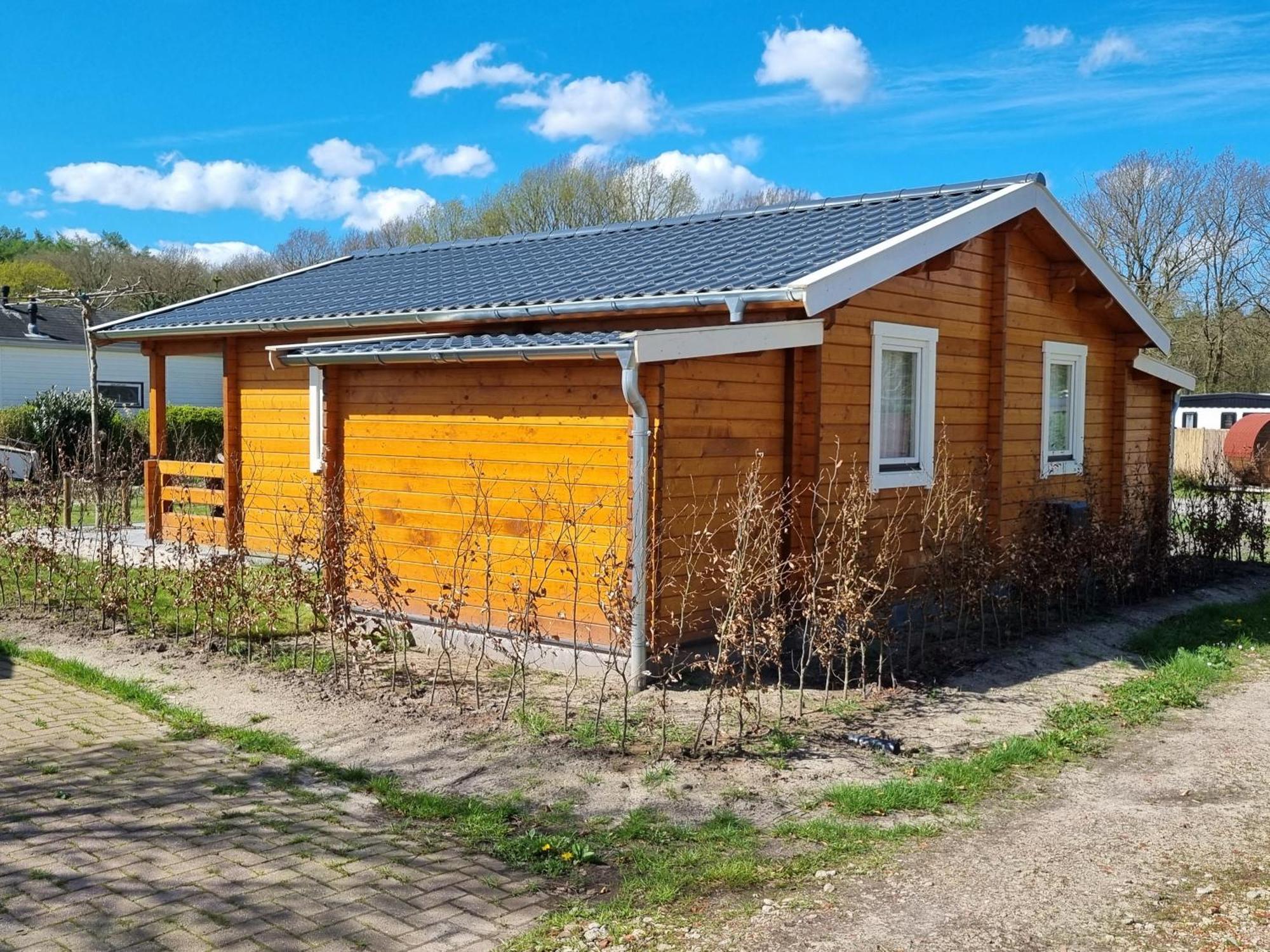 Nieuw - Luxe Blokhut Chalet In Bosrijke Omgeving Anloo Eksteriør billede