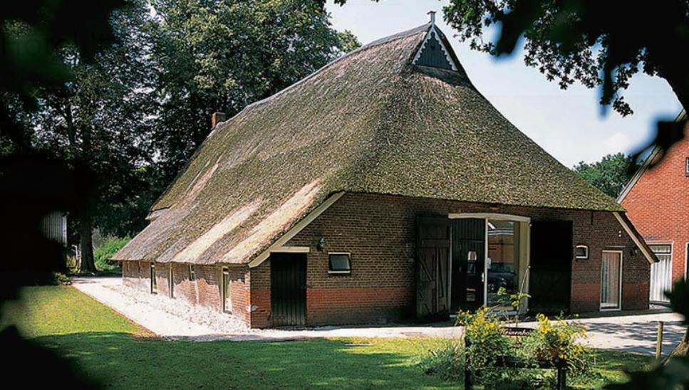 Nieuw - Luxe Blokhut Chalet In Bosrijke Omgeving Anloo Eksteriør billede