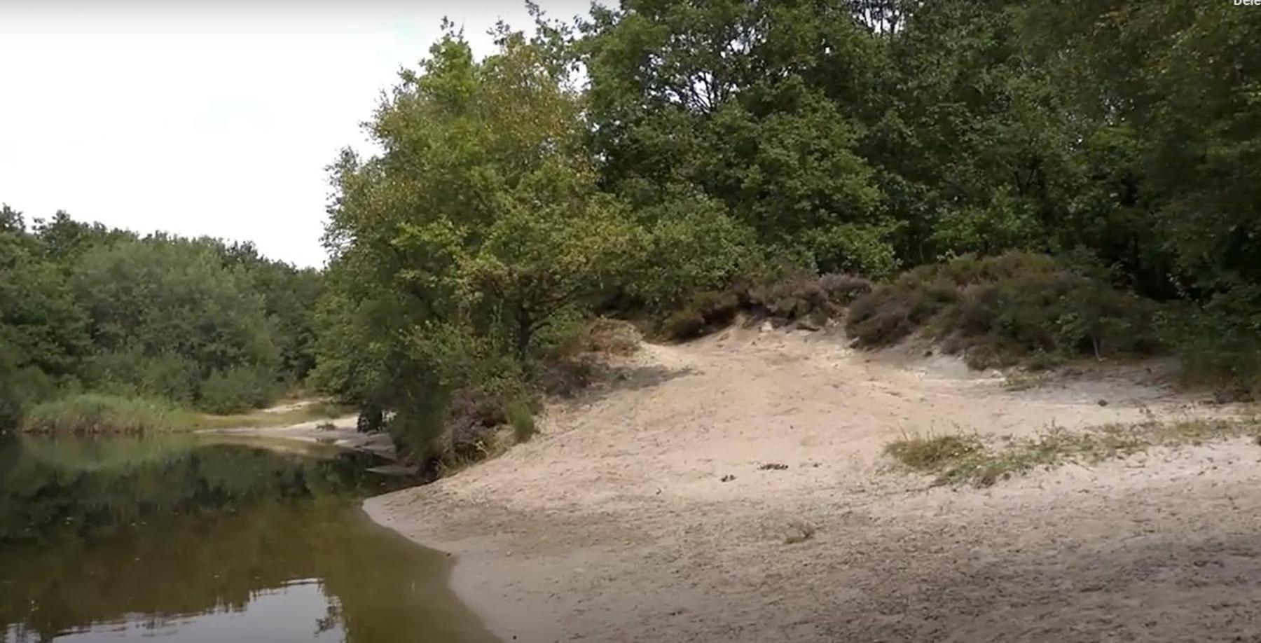 Nieuw - Luxe Blokhut Chalet In Bosrijke Omgeving Anloo Eksteriør billede