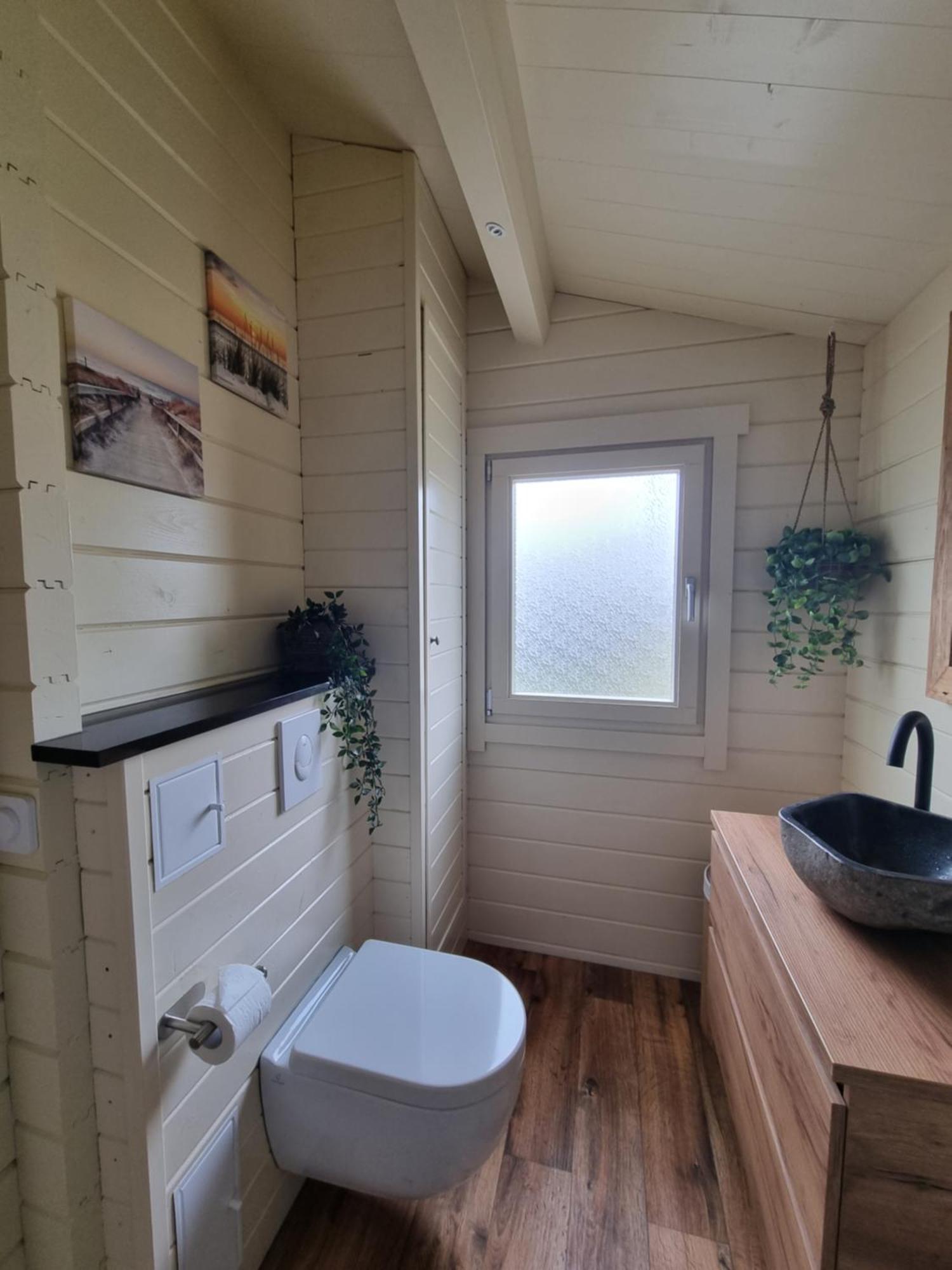 Nieuw - Luxe Blokhut Chalet In Bosrijke Omgeving Anloo Eksteriør billede