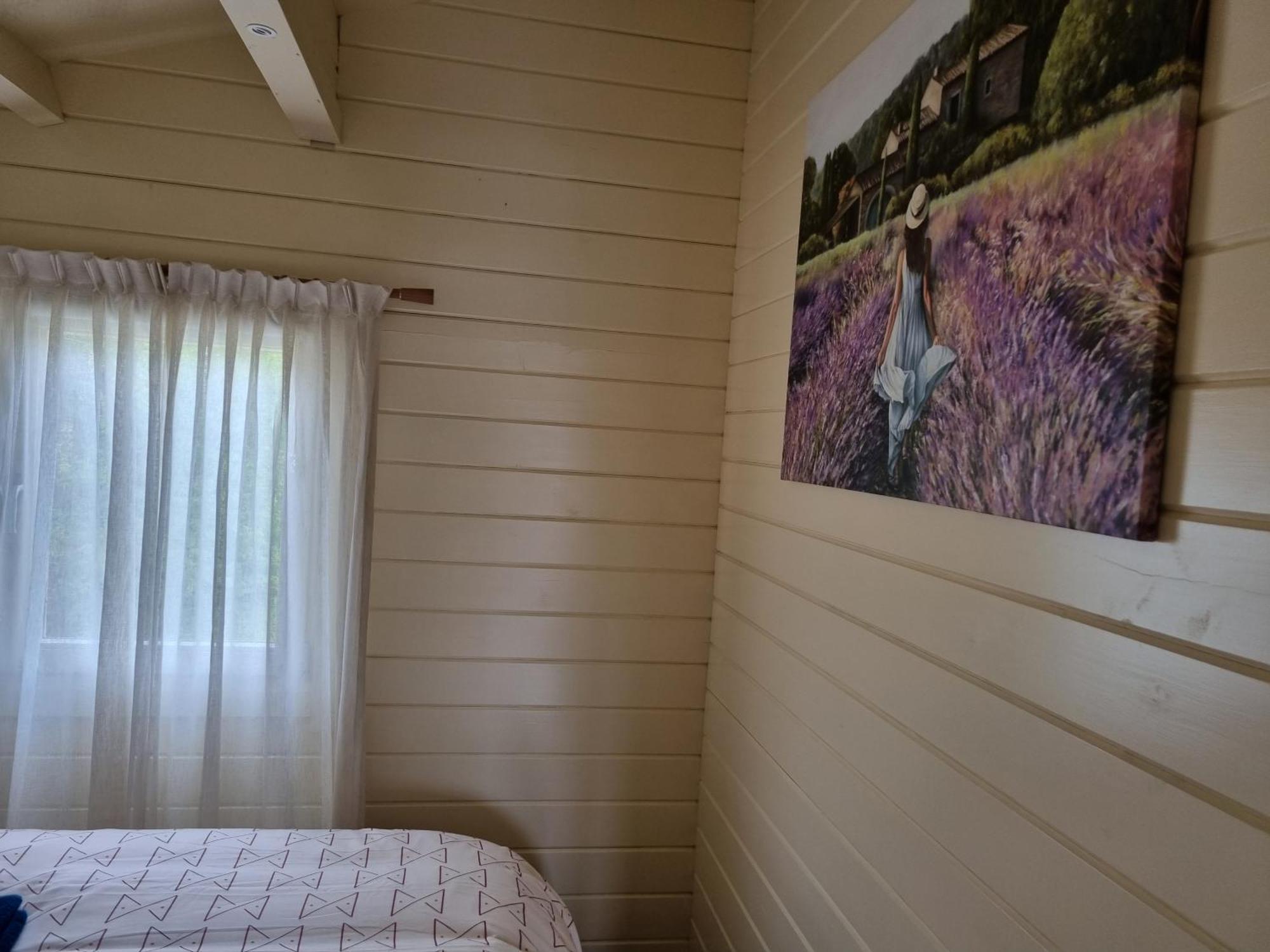 Nieuw - Luxe Blokhut Chalet In Bosrijke Omgeving Anloo Eksteriør billede